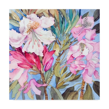Sharon Pitts 'Rhododendron Flowers' Canvas Art,24x24